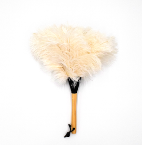 Feather Duster 14in Cream