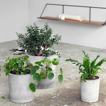 Load image into Gallery viewer, Gray Concrete Planter